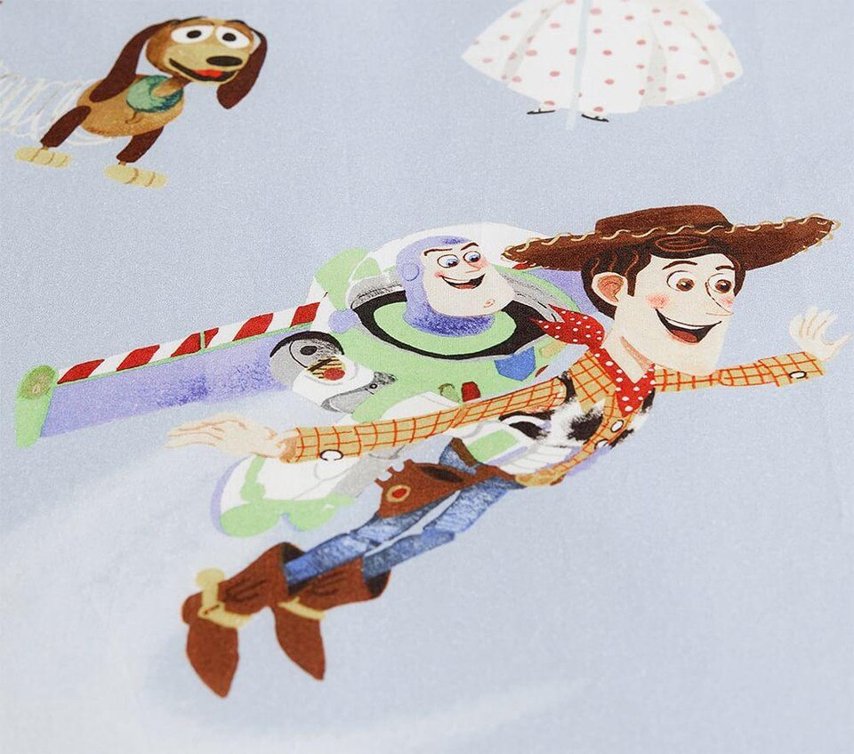 toy story queen quilt cover